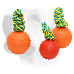High quality Labrador water     training ball with string