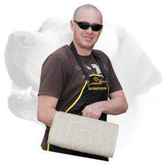 Young Labrador training with     strong jute bite builder