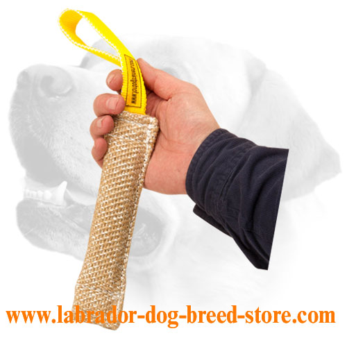 Jute Labrador bite tug for puppies
