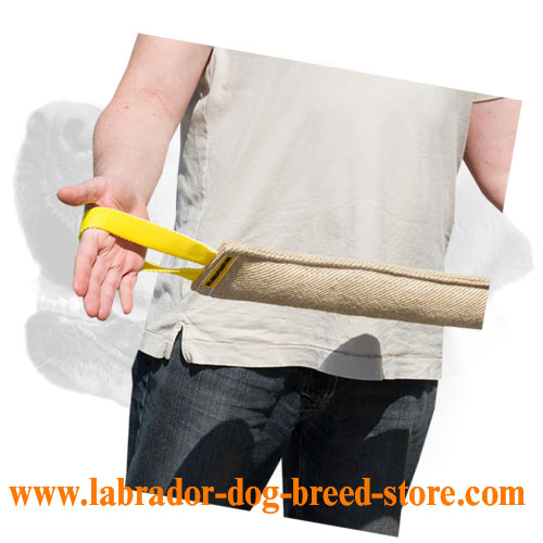 Multifunctional jute bite tug for Labrador