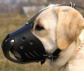 Labrador leather dog muzzle,best dog muzzle