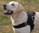 nylon dog harness with handle,custom dog harness,handmade dog harness