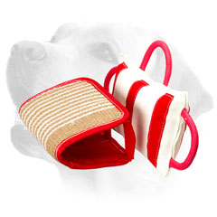 Quality Labrador training pillow     with jute cover