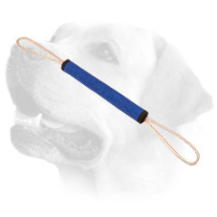 Labrador professional training roll with two handles