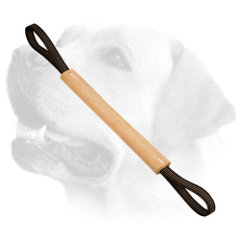 Professional bite     Pocket Toy for young Labradors