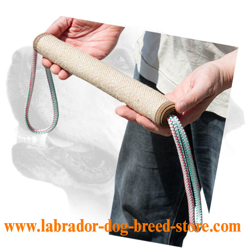 Strong jute Labrador bite training roll