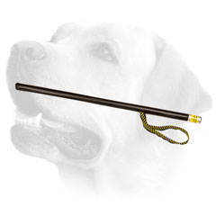 Quality Labrador training stick     with loop