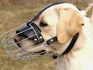 Labrador dog muzzles, leather muzzles,plastic muzzle for Labrador