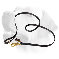 Extreme walking Labrador leash with Strong brass snap hook Extreme walking Labrador leash with Strong brass snap hook