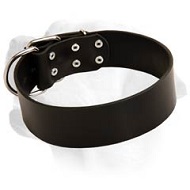 Super Wide Leather Collar For Handling Large Labrador Super Wide Leather Collar For Handling Large Labrador