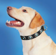 LAbrador Leather Dog Collar & Silver Plated Circles Blue Stones