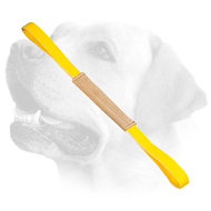 Soft Leather Pocket Toy with Two Handles for Labrador