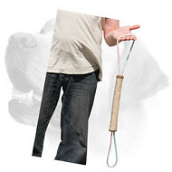 Training Play Roll for Labrador puppy