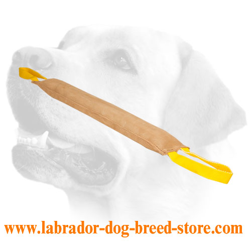 Handcrafted Leather Labrador Bite Tag