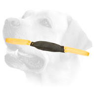 Leather Tug for Young Dog Training