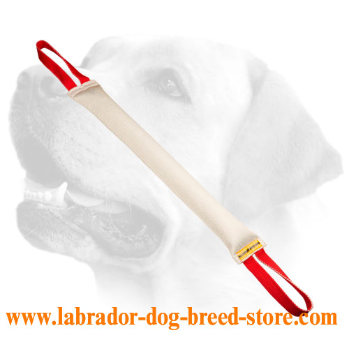 Handmade Fire Hose Labrador Bite Tug With Handles