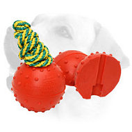 Water Rubber Bite Ball on a String for Playing with Labrador - 2 3/4 inch (7 cm)