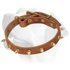 Glam Rock Star Leather Collar For Labrador