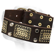 Leather Collar with Brass Massive Plates and Two Nickel Pyramids for Labrador