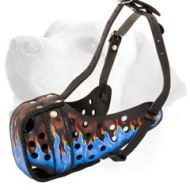 Blue Fire Sensation Leather Muzzle For Labrador