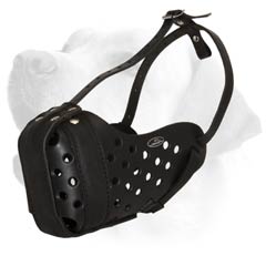 Supergator Leather Muzzle For Labrador. Leather Muzzle For Attack/Agitation training