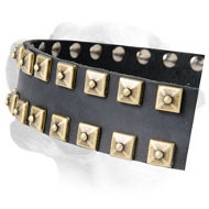 Studded Walking Leather Labrador Collar