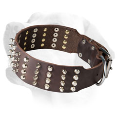 Leather Labrador collar with nickel decoration