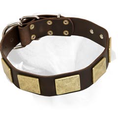 Decorative Leather Collar With Buckle Fastener