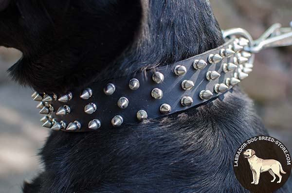 Stylish Leather Dog Collar with Nickel Plated Riveted Spikes