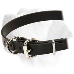 Buckled Leather Collar For Labrador