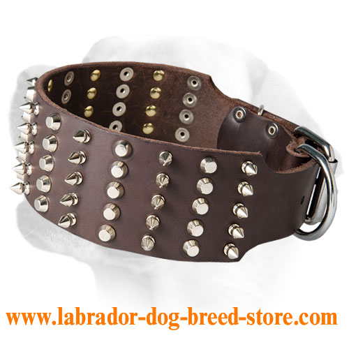 Straps Collars Pitbull, Dog Collar Dogs Labrador