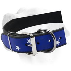 Buckled Handpainted Collar For Labrador