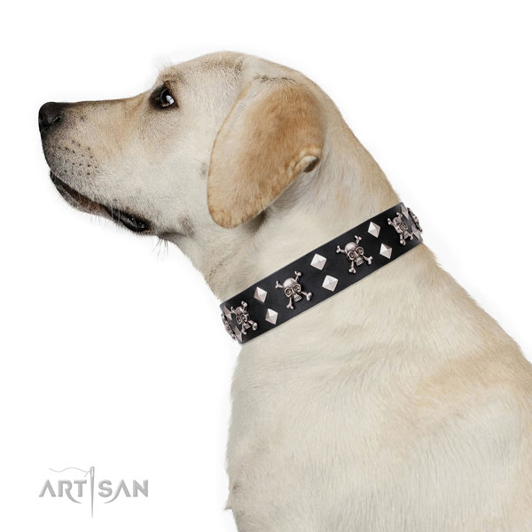 Daily walking embellished dog collar of high quality genuine leather