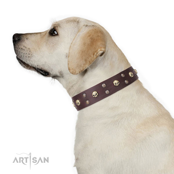 Basic training embellished dog collar of strong natural leather