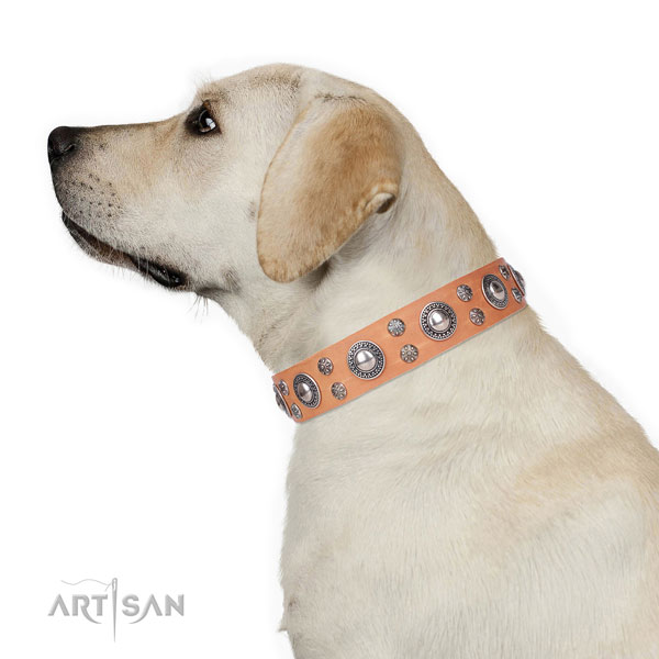 Comfortable wearing adorned dog collar of durable natural leather