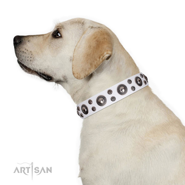 Stylish walking decorated dog collar of top notch natural leather