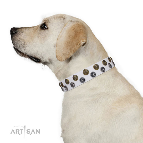 Fancy walking decorated dog collar of finest quality material