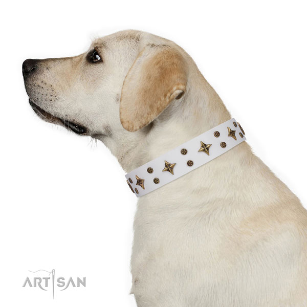 Handy use embellished dog collar of high quality material