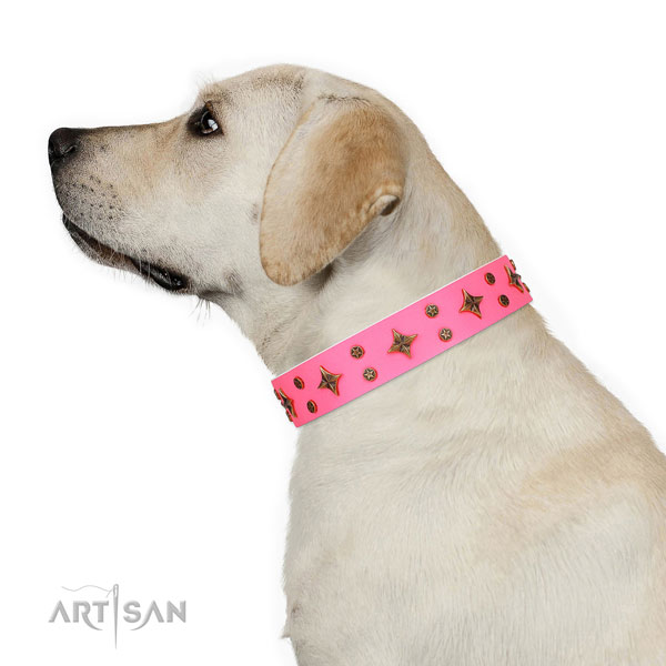 Daily use embellished dog collar of finest quality material