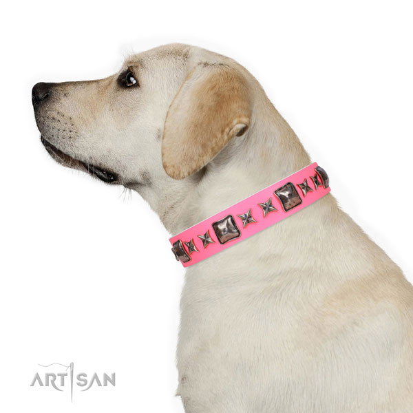 Inimitable decorated natural leather dog collar for everyday use