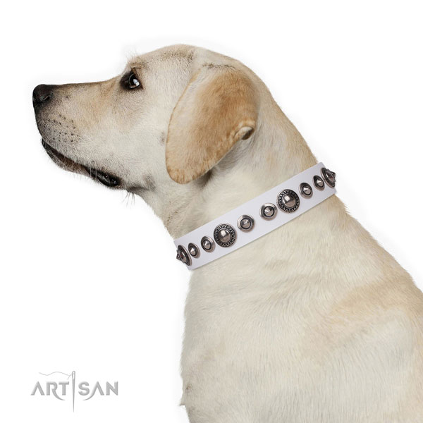 Trendy embellished natural leather dog collar for walking