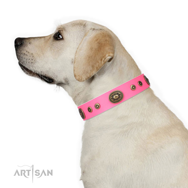 Exquisite decorated genuine leather dog collar for easy wearing