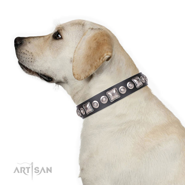 Remarkable adorned genuine leather dog collar for comfy wearing