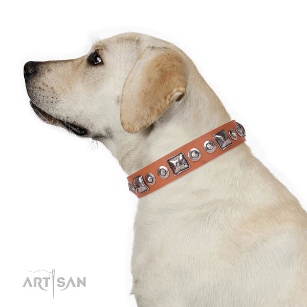 Fashionable adorned natural leather dog collar for comfortable wearing