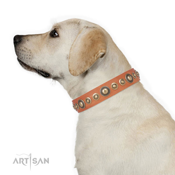 Rust-proof buckle and D-ring on leather dog collar for daily walking