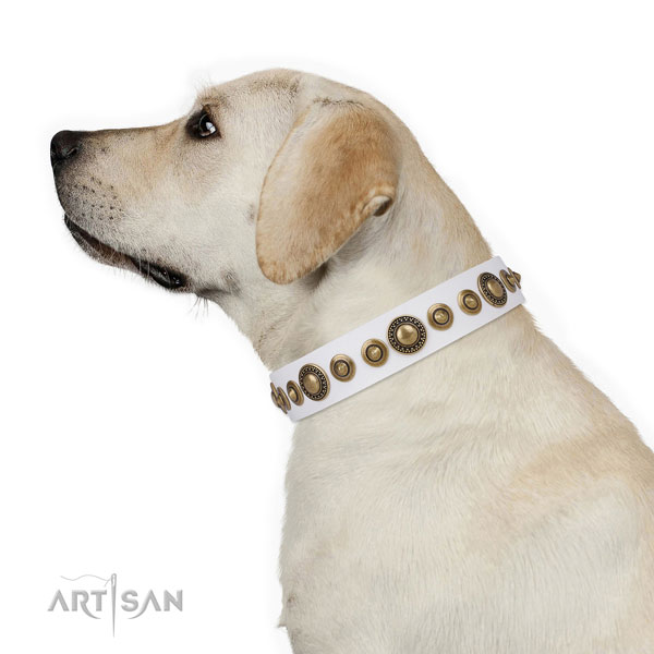 Corrosion resistant buckle and D-ring on leather dog collar for stylish walks