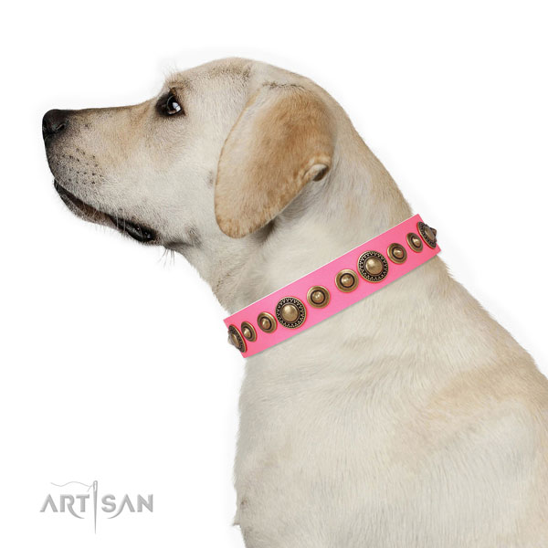 Strong buckle and D-ring on natural leather dog collar for everyday use