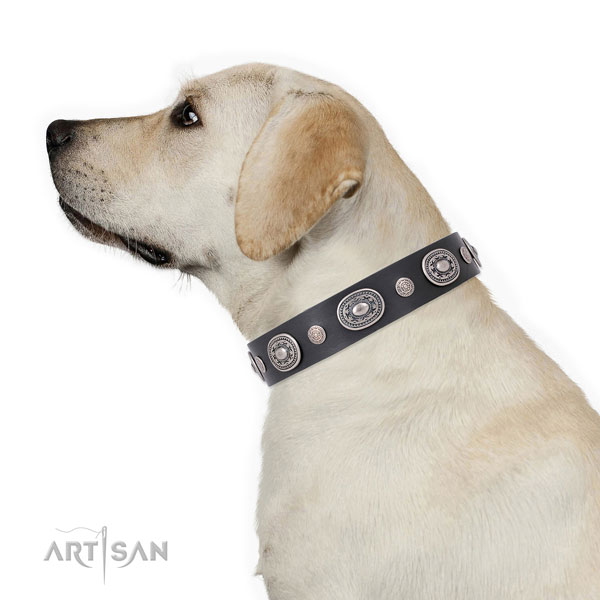 Reliable buckle and D-ring on full grain leather dog collar for stylish walks