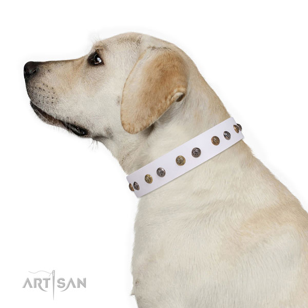 Comfy wearing adorned dog collar made of strong leather