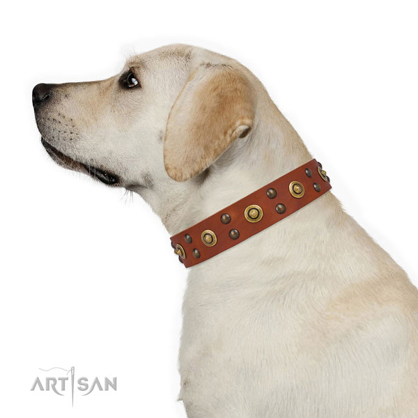 Handy use dog collar with significant adornments